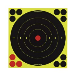 Shoot-N-C 8" BE Tgt /500 BIRCHWOOD-CASEY