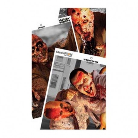 Zombie Visicolor Variety Target 6Pk 12X18 CHAMPION-TRAPS-AND-TARGETS