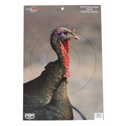 Pregame Turkey 12? x 18? Tgt - 8 targets BIRCHWOOD-CASEY