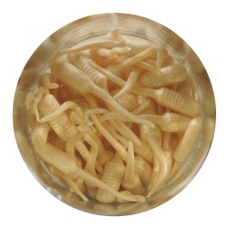 GAJFF1-LG GA FISH FRY 1IN LUMA GLOW ZL BERKLEY