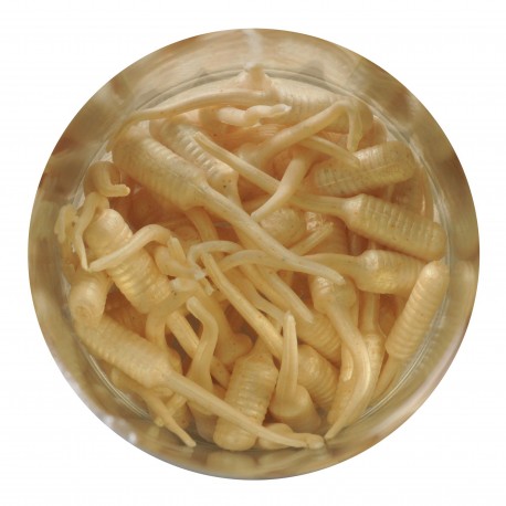 GAJFF1-LG GA FISH FRY 1IN LUMA GLOW ZL BERKLEY