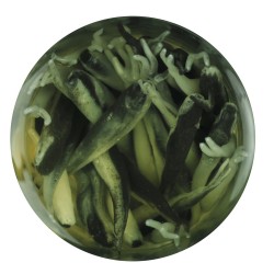 GAJMI1-BS GA MINNOW 1IN BLACK SHAD 04 BERKLEY