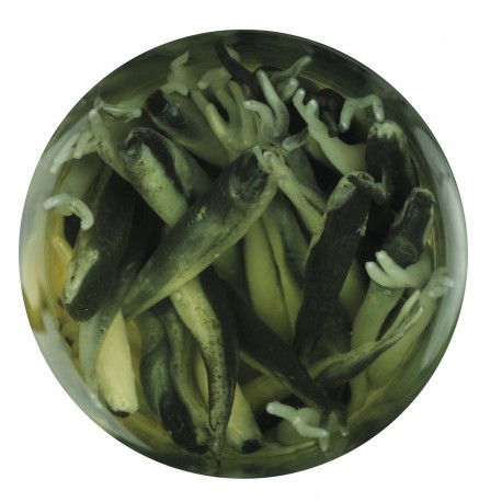 GAJMI1-BS GA MINNOW 1IN BLACK SHAD 04 BERKLEY