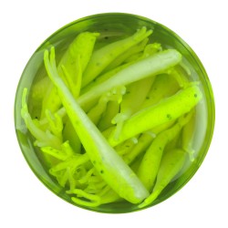 GAJMI1-CS GA MINNOW 1IN CHART SHAD LD BERKLEY