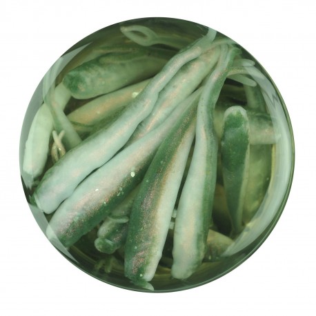 GAJMI1-ES GA MINNOW 1IN EMRLD SHINER MM BERKLEY