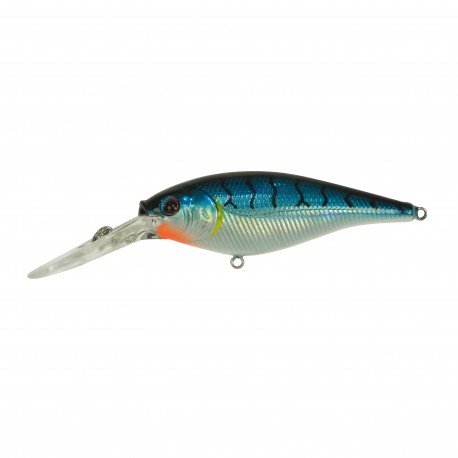 FFSH4M-BT FLCKR SHAD MED 4CM BLUE TIGER BERKLEY