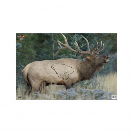 Eze-Scorer Elk 23" x 35" - 2 Ppr Tgts BIRCHWOOD-CASEY