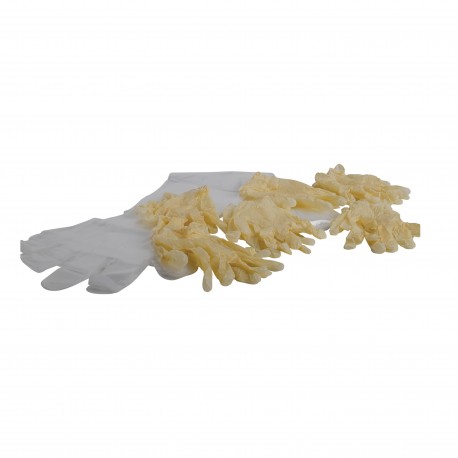 Six Pack of Latex Gloves ALLEN-CASES