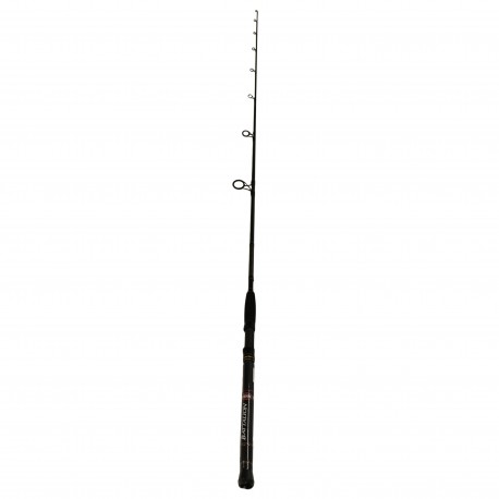 BATIN1220S70/BATTA IN 12-20LB 7FT SPN PENN