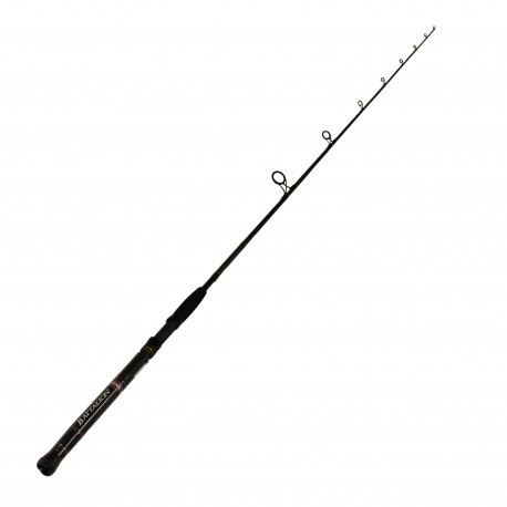 BATIN1530S70/BATTA IN 15-30LB 7FT SPN PENN