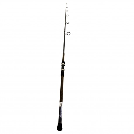 Longitude Surf Spin Rod 10' H 2pc OKUMA