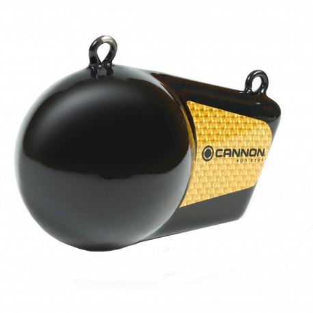 10 pound Flash weight CANNON-DOWNRIGGERS