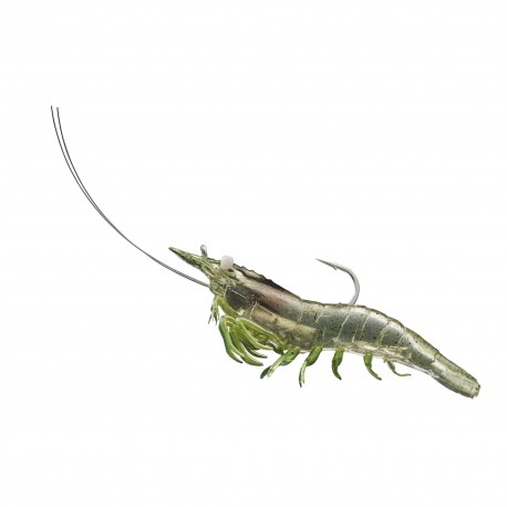 Rigged Shrimp Soft Plstc,grass shrimp,2/0 LIVETARGET-LURES