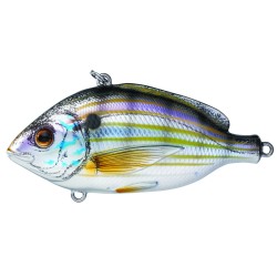 Pinfish Rattlebait,natural/metallic,4 LIVETARGET-LURES