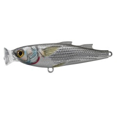 Mullet Popper,natural/matte,4 LIVETARGET-LURES