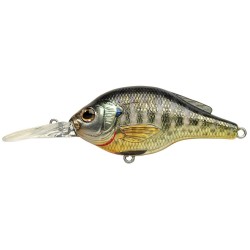 Bluegill FS Roundbill,metallic/gloss,4 LIVETARGET-LURES