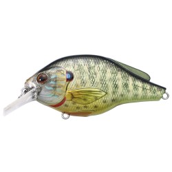 Pumpkinseed FS Squarebill,metllic/glss,6 LIVETARGET-LURES