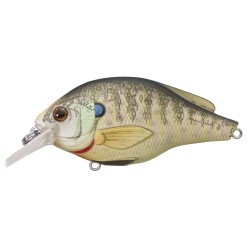Bluegill FS Squarebill,natural/matte,6 LIVETARGET-LURES
