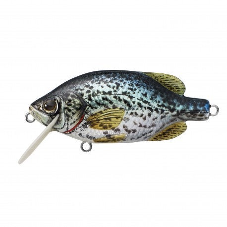 Crappie FS Crankbait,metallic/gloss,4 LIVETARGET-LURES