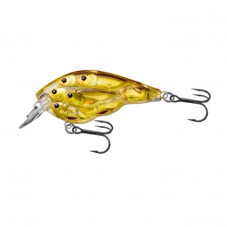 Yearling Baitball Squarebill,gold/Blk,4 LIVETARGET-LURES