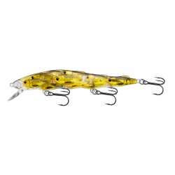 Yearling Baitball Jerkbait,gold/black,6 LIVETARGET-LURES