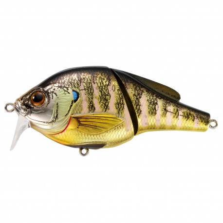 Bluegill Wakebait,oss,4 LIVETARGET-LURES