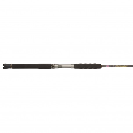 CARBWII4080S76  Carnage II MH 7'6" 2pc PENN