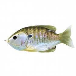 Sunfish HB,surface,natural/Olv Blugill4/0 LIVETARGET-LURES