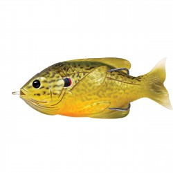 Sunfish HB,surface,Grn/Brnz pumpknseed3/0 LIVETARGET-LURES
