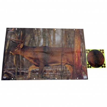 Eze-Scorer 23"x35"(2) & Shoot-N-C Tgt (4) BIRCHWOOD-CASEY