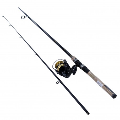 D-Shock DSK FW Spin PMC DAIWA