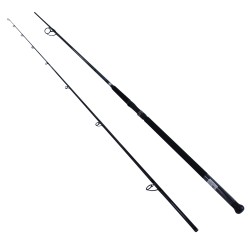 Emcast Surf 2pc LnWt 15-25 DAIWA