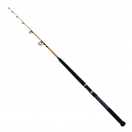 FT Boat 1pc LnWt 20 - 40 DAIWA