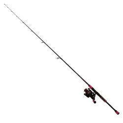 PAS4000701ML PASSION 7FT 1PC ML CBO PENN