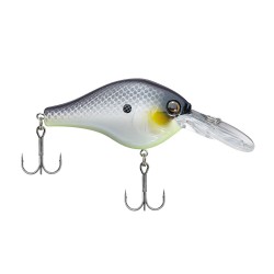 BHBDG4.5-CMPRL BERHRDBT DIGGR 4.5 CHMPRL BERKLEY