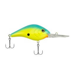 BHBDRTC8.5-BUCH BHRDBT DRDG 8.5 BLUCHR BERKLEY