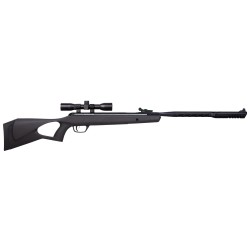 Ironhide (BLK) NPE ,4x32 Scope,.22,800 P BENJAMIN-SHERIDAN