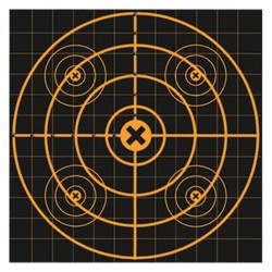 Big Burst 12" Sight In - 3 Target BIRCHWOOD-CASEY