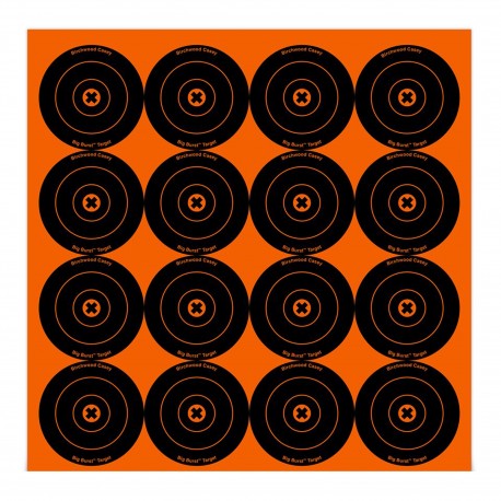 Big Burst 3"- 48 Targets BIRCHWOOD-CASEY